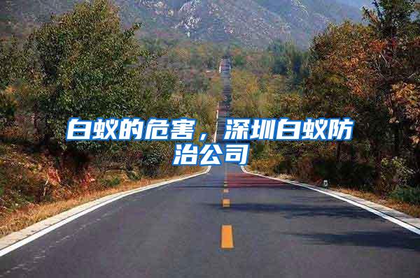 白蟻的危害,深圳白蟻防治公司