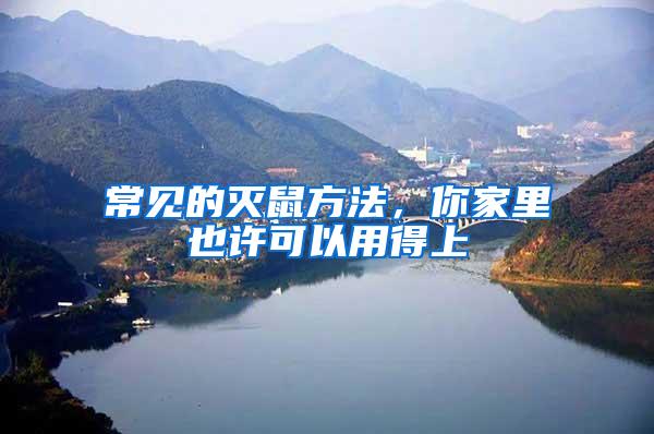 常見(jiàn)的滅鼠方法，你家里也許可以用得上
