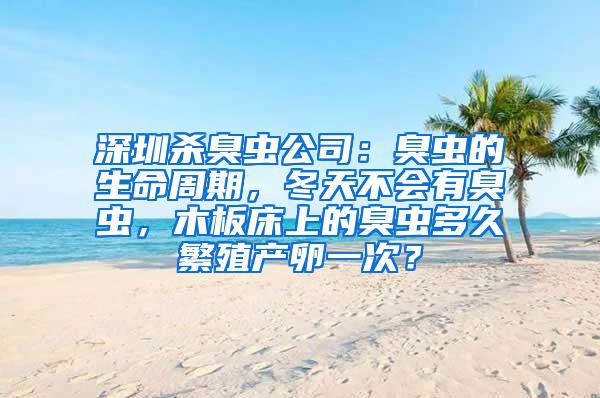 深圳殺臭蟲公司：臭蟲的生命周期，冬天不會(huì)有臭蟲，木板床上的臭蟲多久繁殖產(chǎn)卵一次？