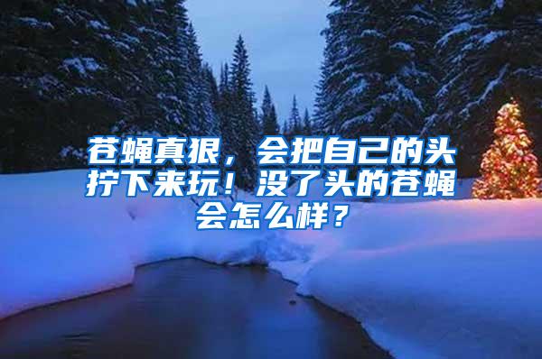 蒼蠅真狠，會把自己的頭擰下來玩！沒了頭的蒼蠅會怎么樣？