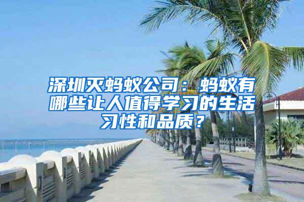 深圳滅螞蟻公司：螞蟻有哪些讓人值得學習的生活習性和品質？