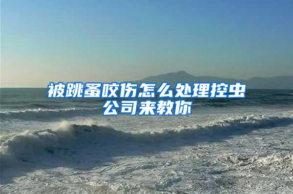 被跳蚤咬傷怎么處理控蟲公司來(lái)教你