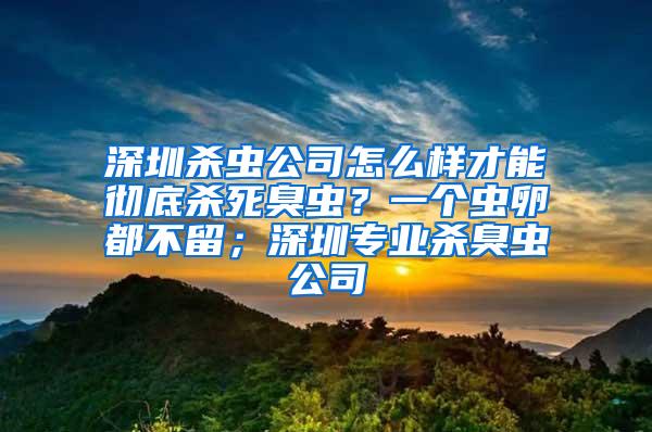 深圳殺蟲(chóng)公司怎么樣才能徹底殺死臭蟲(chóng)？一個(gè)蟲(chóng)卵都不留；深圳專業(yè)殺臭蟲(chóng)公司