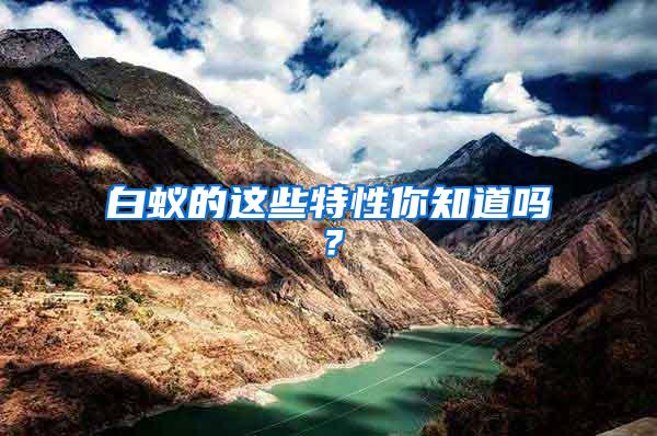 白蟻的這些特性你知道嗎？