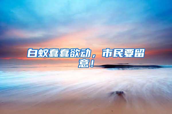 白蟻蠢蠢欲動，市民要留意！