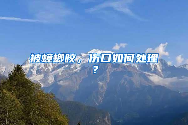 被蟑螂咬，傷口如何處理？