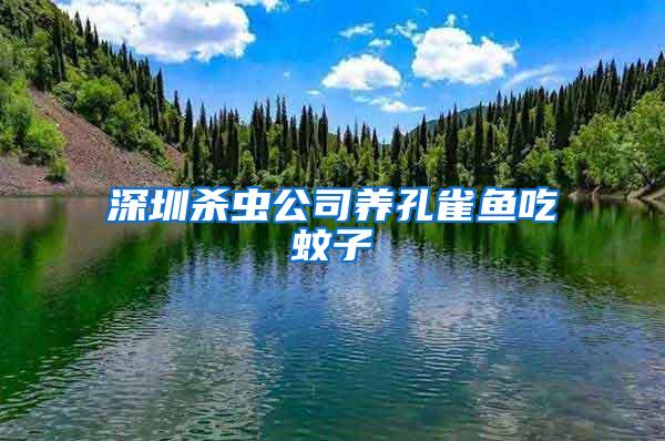 深圳殺蟲(chóng)公司養(yǎng)孔雀魚(yú)吃蚊子