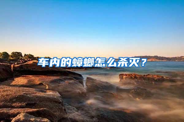 車內的蟑螂怎么殺滅？