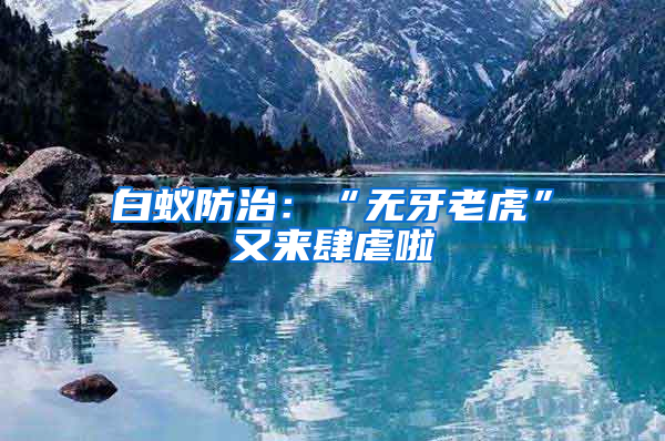 白蟻防治：“無(wú)牙老虎”又來(lái)肆虐啦