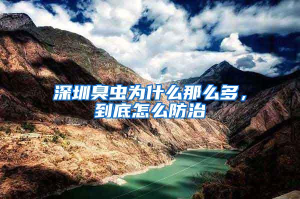 深圳臭蟲為什么那么多,到底怎么防治