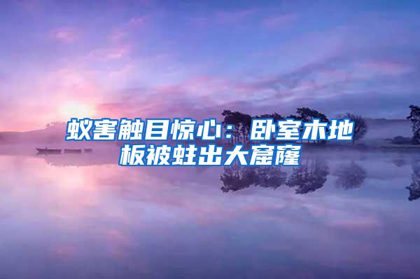 蟻害觸目驚心:臥室木地板被蛀出大窟窿