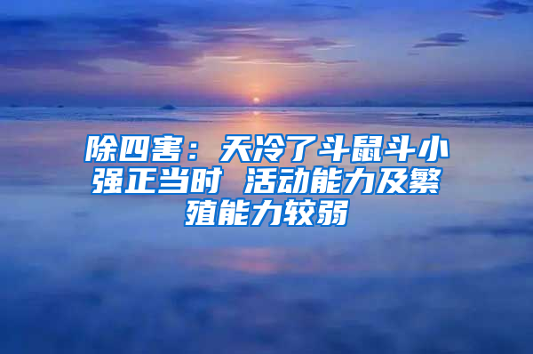 除四害:天冷了斗鼠斗小強(qiáng)正當(dāng)時(shí) 活動(dòng)能力及繁殖能力較弱
