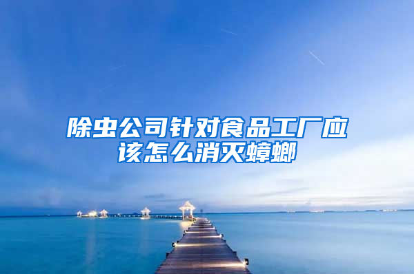 除蟲(chóng)公司針對(duì)食品工廠應(yīng)該怎么消滅蟑螂