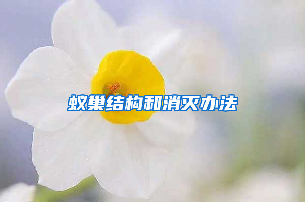 蟻巢結構和消滅辦法