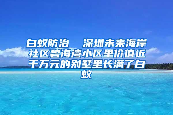 白蟻防治  深圳未來(lái)海岸社區(qū)碧海灣小區(qū)里價(jià)值近千萬(wàn)元的別墅里長(zhǎng)滿了白蟻