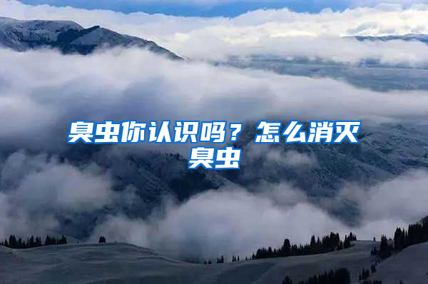 臭蟲你認識嗎？怎么消滅臭蟲