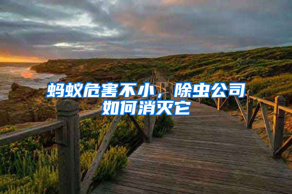 螞蟻危害不小，除蟲(chóng)公司如何消滅它