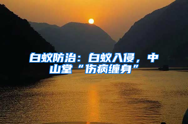 白蟻防治：白蟻入侵，中山堂“傷病纏身”