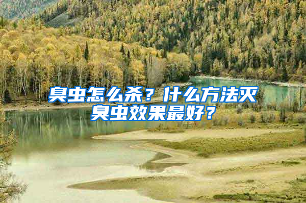 臭蟲怎么殺？什么方法滅臭蟲效果最好？