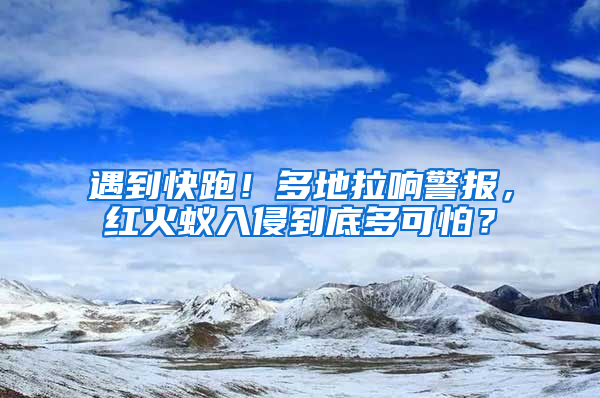 遇到快跑！多地拉響警報，紅火蟻入侵到底多可怕？