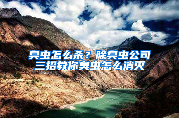 臭蟲怎么殺？除臭蟲公司三招教你臭蟲怎么消滅