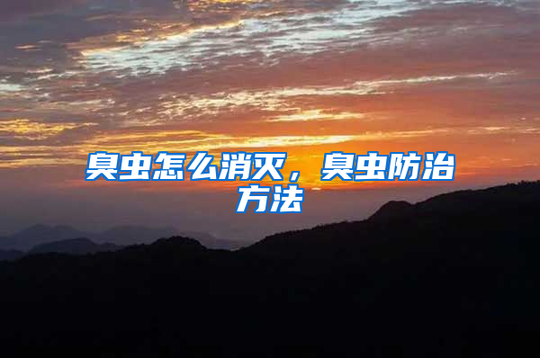 臭蟲怎么消滅,臭蟲防治方法