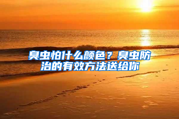 臭蟲怕什么顏色？臭蟲防治的有效方法送給你